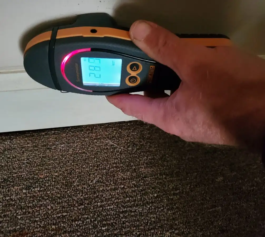 Moisture detection at baseboard during Sewage Cleanup & Sanitation in Smyrna